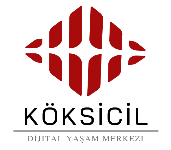Köksicil